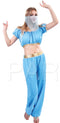 Adult Arabian Princess Costume-ONE SIZE